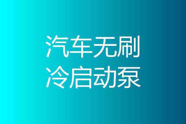 汽车无刷冷启动泵